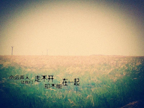 東方海景樓盤3