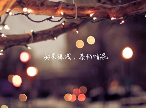 努力向上勵志語錄正能量句子簡短
