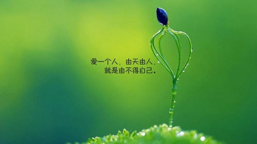 防城港哪里房子好還便宜？