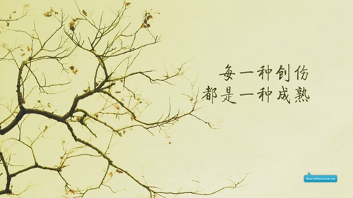 海棠灣到土福灣怎么走