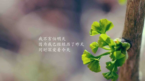海南海南島房子哪里適合養老