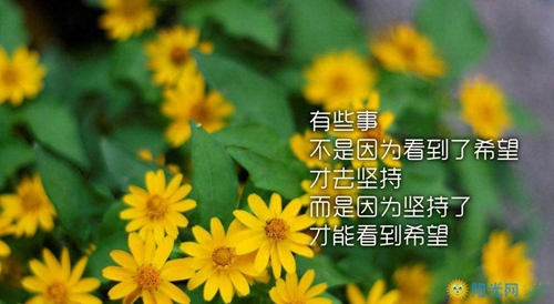 新年基督教的祝福語大全