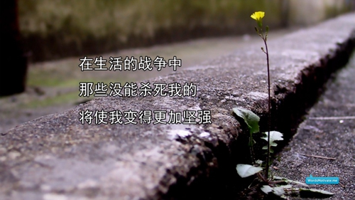 嘉積鎮(zhèn)住宿