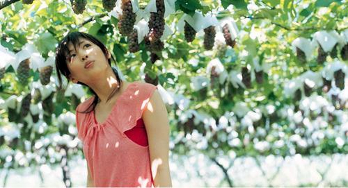 富力在儋州有什么房子