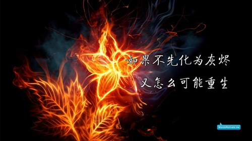 云南迪慶公寓哪里有便宜的？