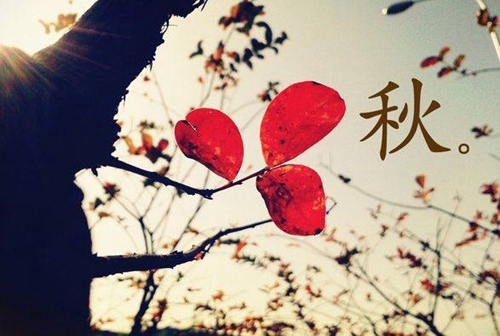 澄邁盈濱半島目前的樓盤還有投資價值嗎？未來澄邁盈濱半島升值潛力最大的區域！