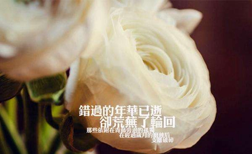 形容圖片漂亮文字優(yōu)美的句子