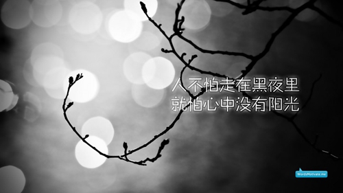 摘抄好句推薦
