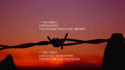 15句話的心情句子