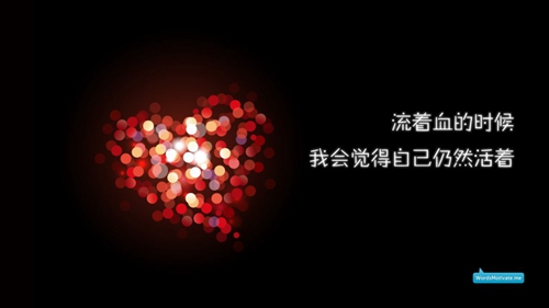 浪子回頭dj視頻（浪子回頭dj抖音最火中文版）