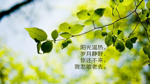 文昌中信地產(chǎn)開發(fā)的樓盤還值得投資嗎